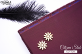 Citizen Slub Cotton - Chawla Fabrics